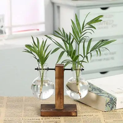 Terrarium Hydroponic Plant Vases