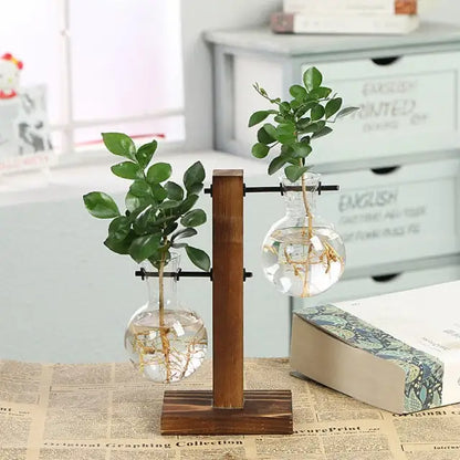 Terrarium Hydroponic Plant Vases